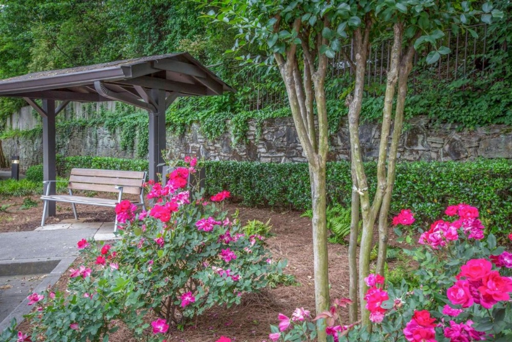 Quality Suites Buckhead Village Image 11